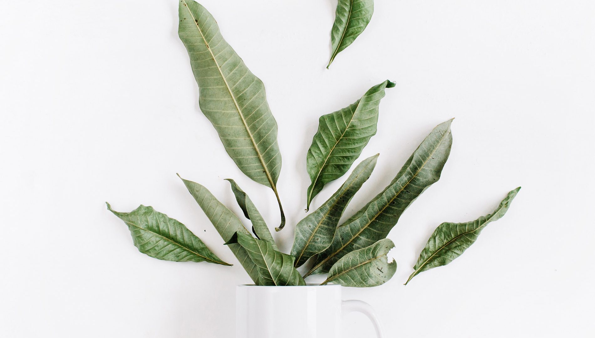 Cherry5 WordPress Framework